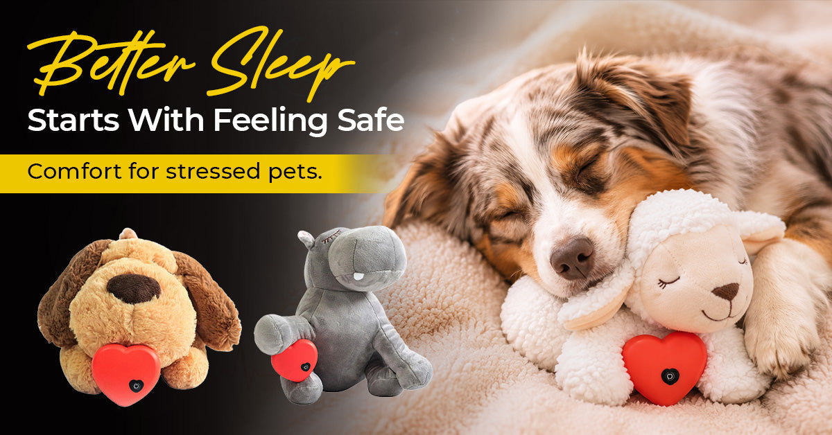 An Australian Shepherd puppy sleeping peacefully on a fluffy cream bed while cuddling a white plush heartbeat lamb toy.