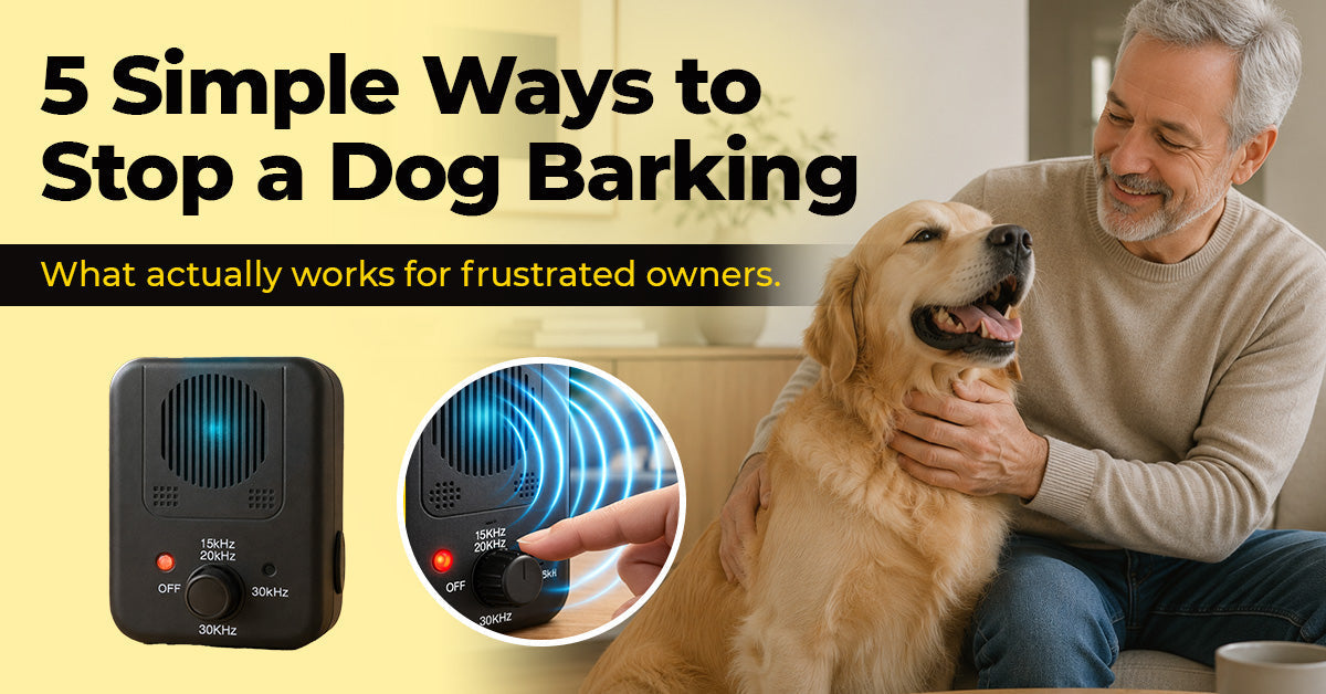 A happy senior Australian dog owner sitting on a living room couch petting a quiet Golden Retriever next to an automatic anti-bark silencer product shot.
