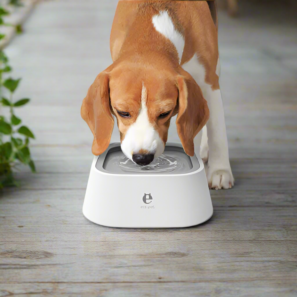 Pet Water Bowl - Pet Supplies Australia