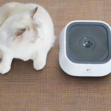 Load image into Gallery viewer, Pet Water Bowl - Pet Supplies Australia