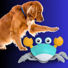 Load image into Gallery viewer, Crab Rechargeable Pet Toy - Pet Supplies Australia