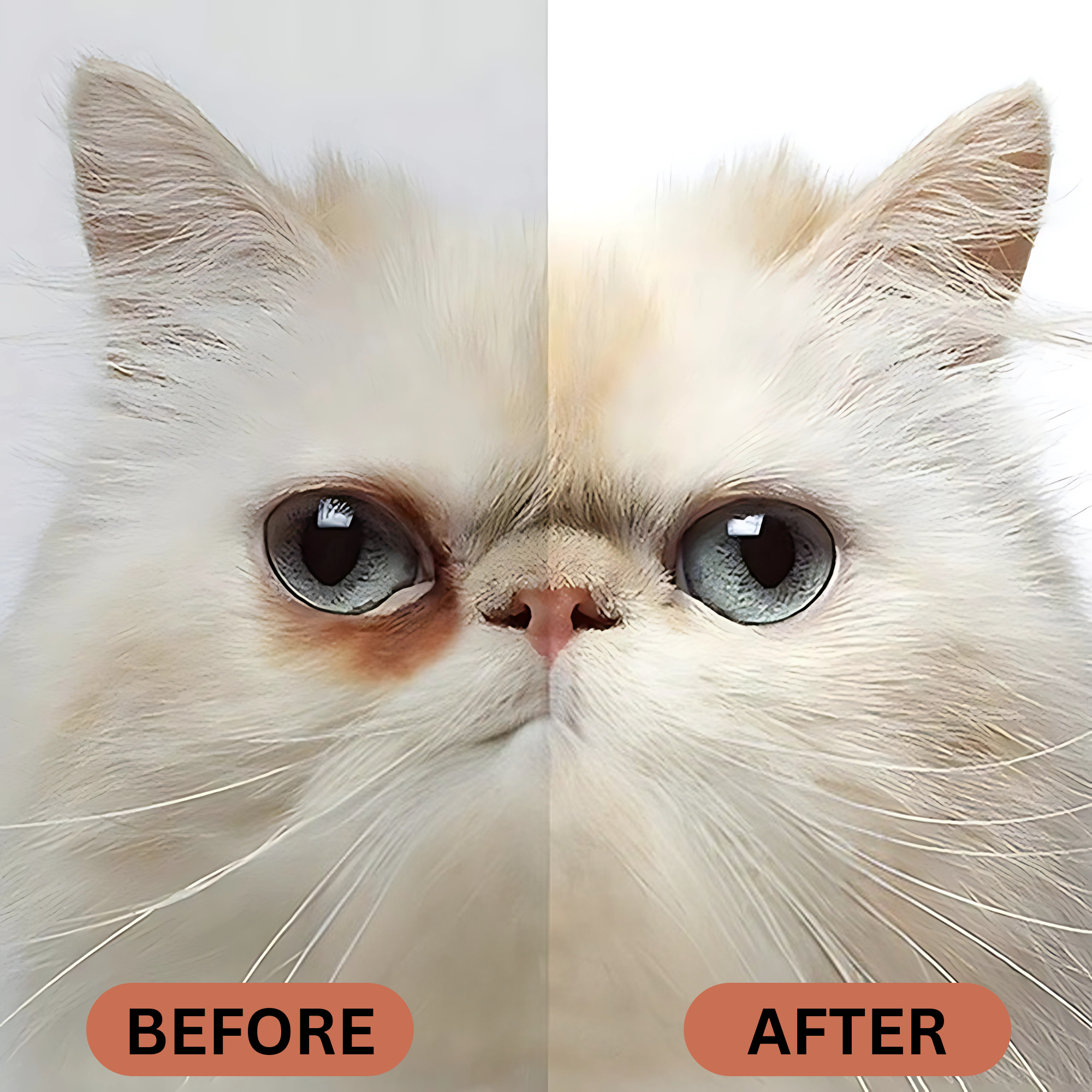 Tear Stain Remover - Pet Supplies Australia