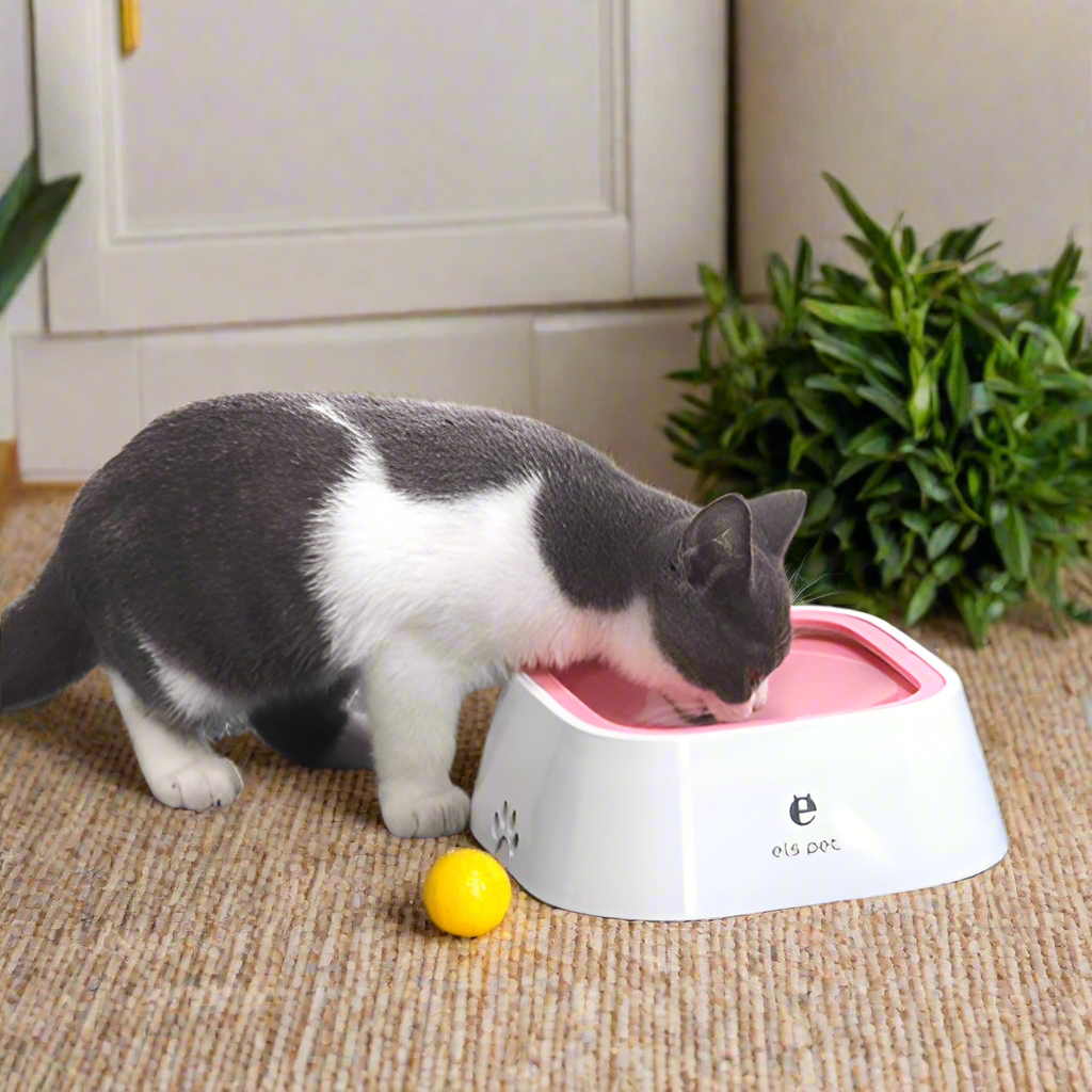 Pet Water Bowl - Pet Supplies Australia