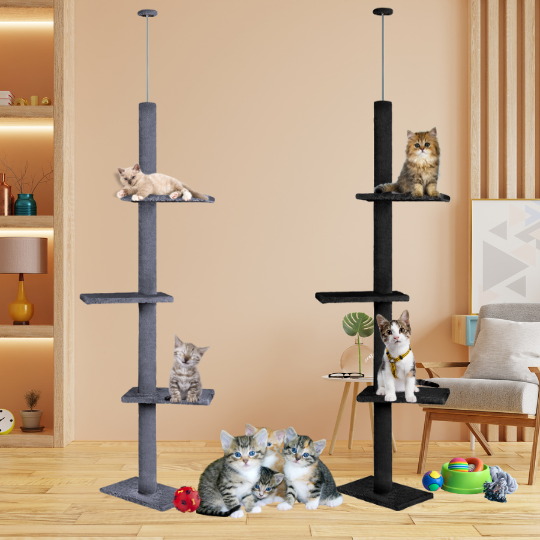 Cat Scratching Tree Floor to Ceiling - Pet Supplies Australia