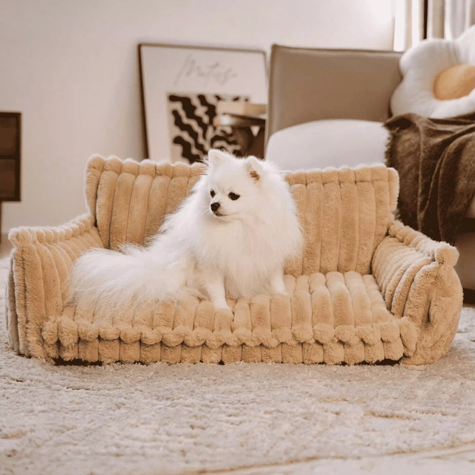 Orthopaedic Soft Pet Sofa Bed (Pre-Order) - Pet Supplies Australia