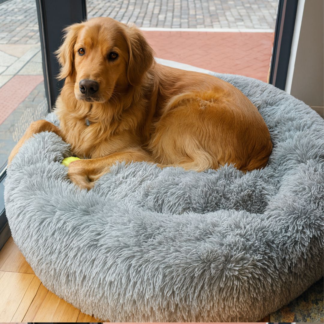 Super Soft Calming Dog Beds