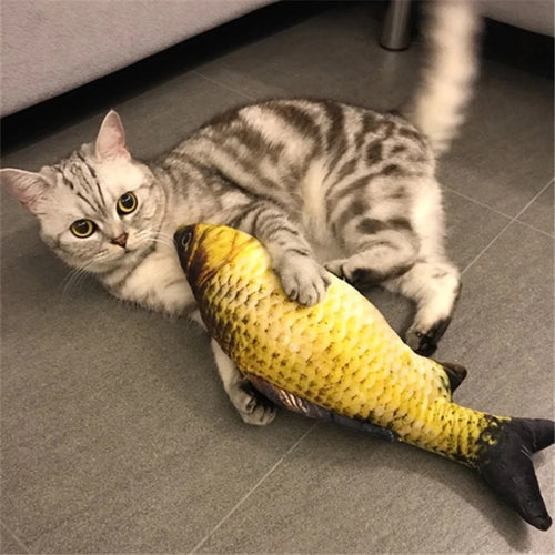 Floppy Fish Cat Toy - Pet Supplies Australia