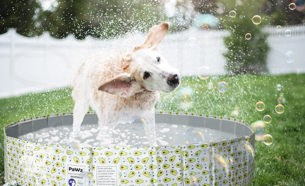 Cooling Pet Pool - Pet Supplies Australia