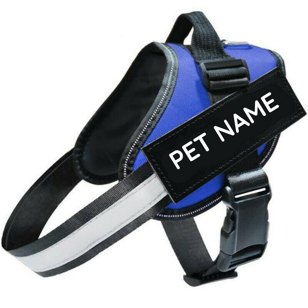 Safety No Pull Dog Harness - Pet Supplies Australia