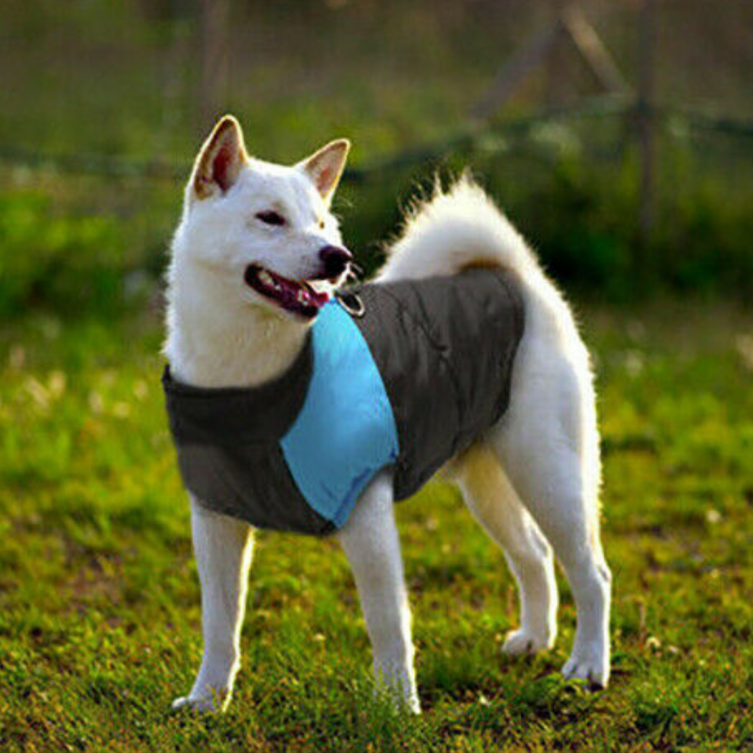 Waterproof Winter Dog Jacket - Pet Supplies Australia