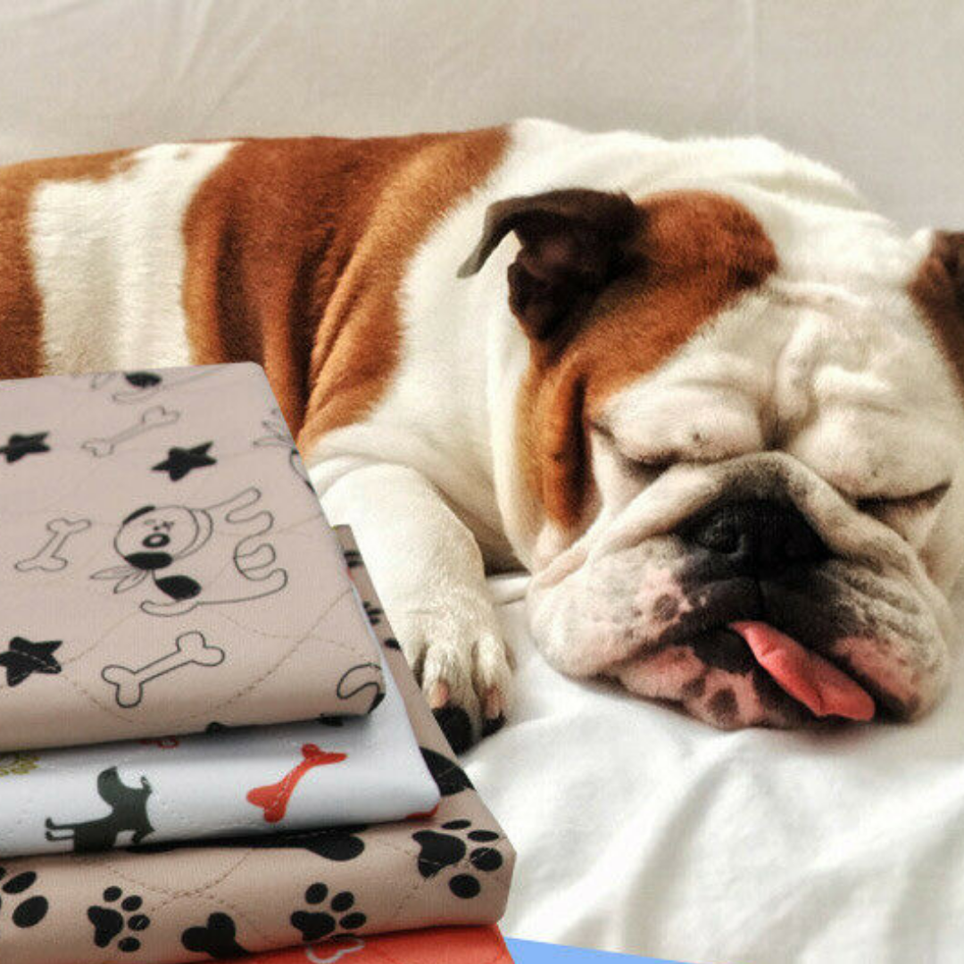 Reusable Dog/Puppy Training Pee Pads - Pet Supplies Australia