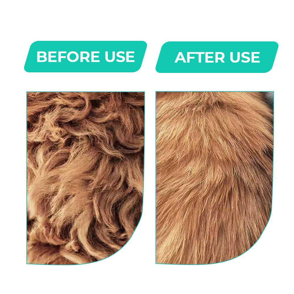 2-in-1 Pet Hair Dryer Brush - Pet Supplies Australia