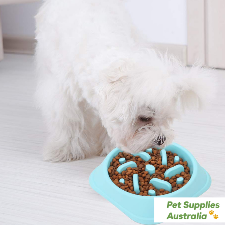 Pets Slow Feeder Dog Bowl - Pet Supplies Australia
