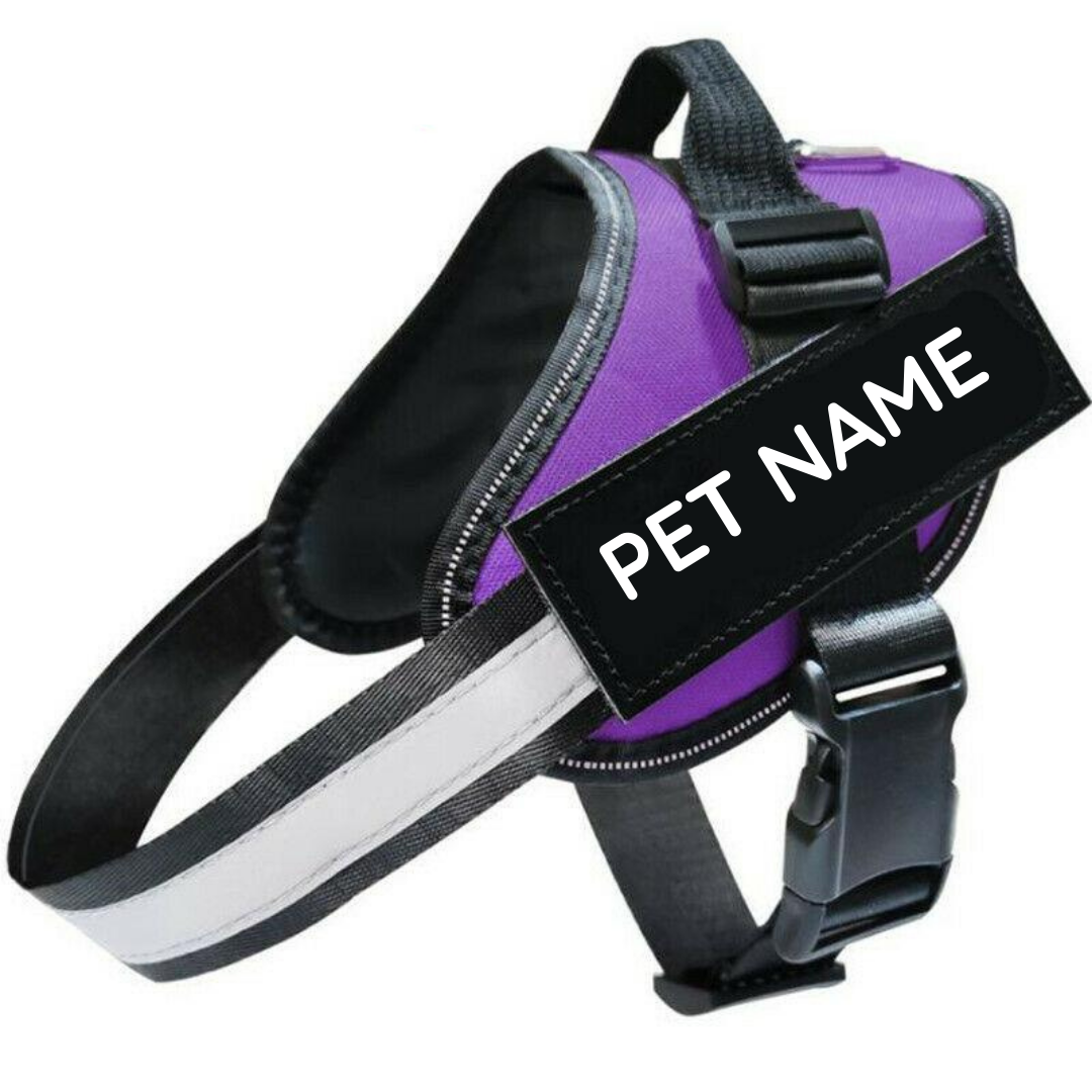 Safety No Pull Dog Harness - Pet Supplies Australia