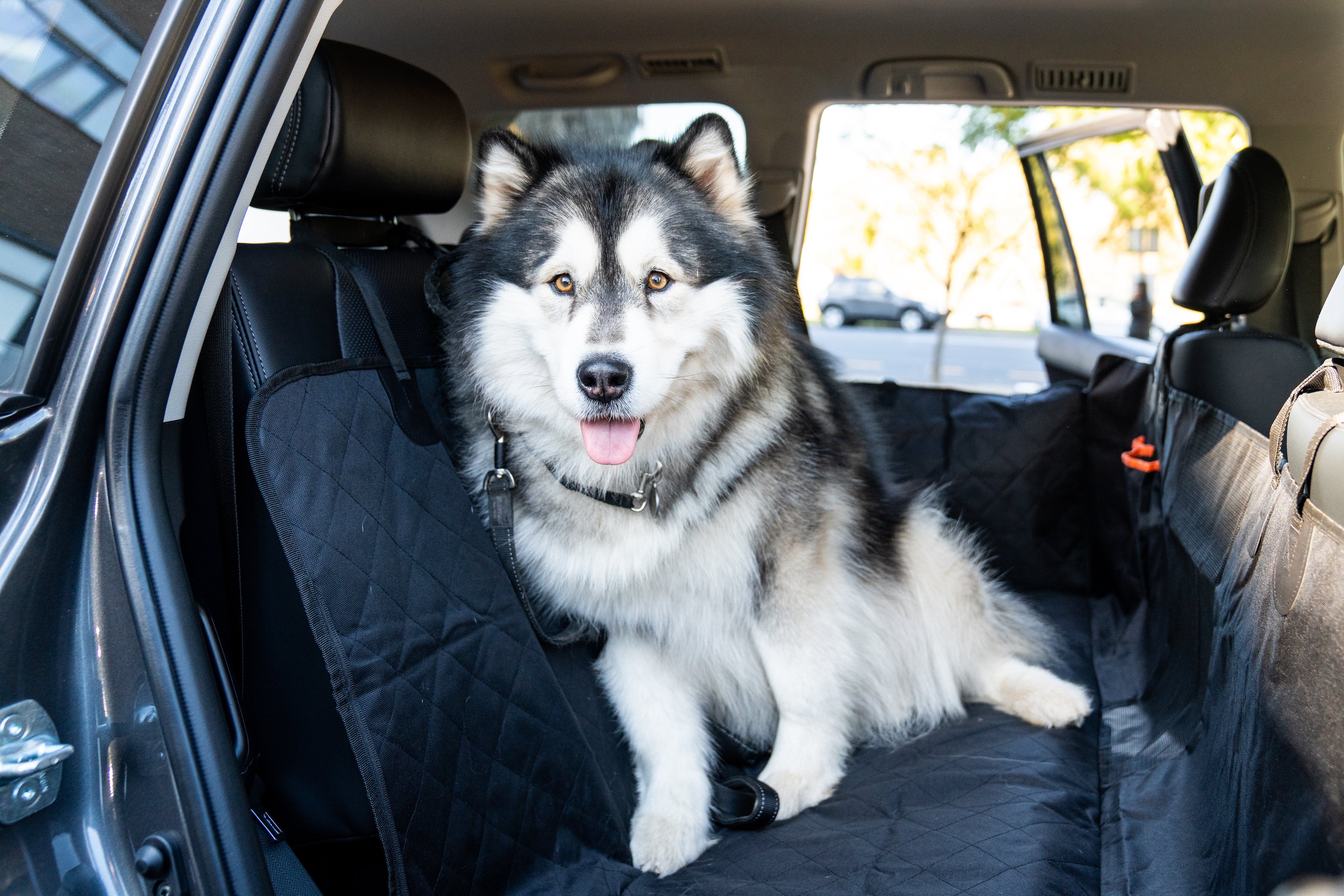 Waterproof Pet Car Seat Cover With Mesh Window + Free Buckle Leash - Pet Supplies Australia