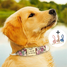 Load image into Gallery viewer, Personalised Dog Collar - FREE ENGRAVING - Pet Supplies Australia