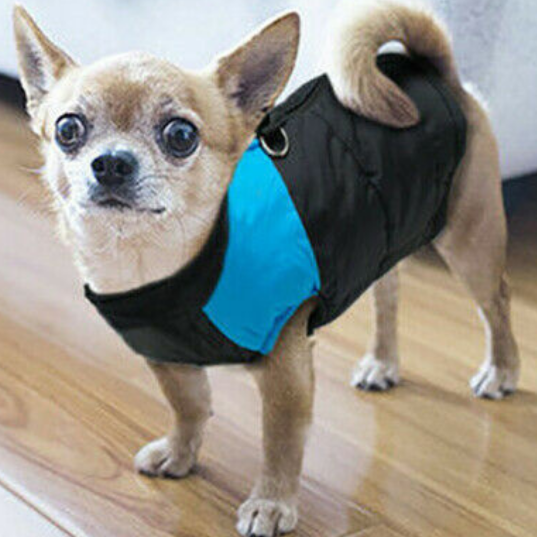 Waterproof Winter Dog Jacket - Pet Supplies Australia