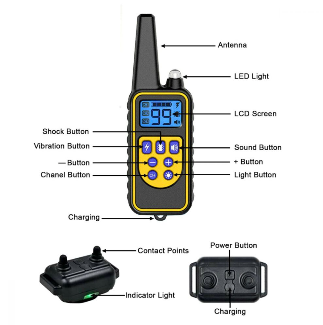 electric dog collar australia