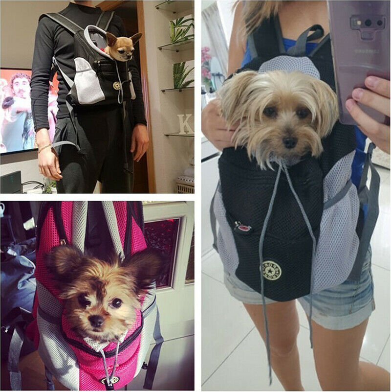 Three customer photos showing small dogs in black, grey and pink Dog Backpacks