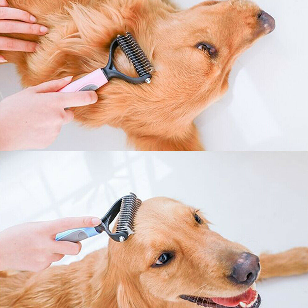 Pink and blue dematting combs grooming a golden retriever's neck and head