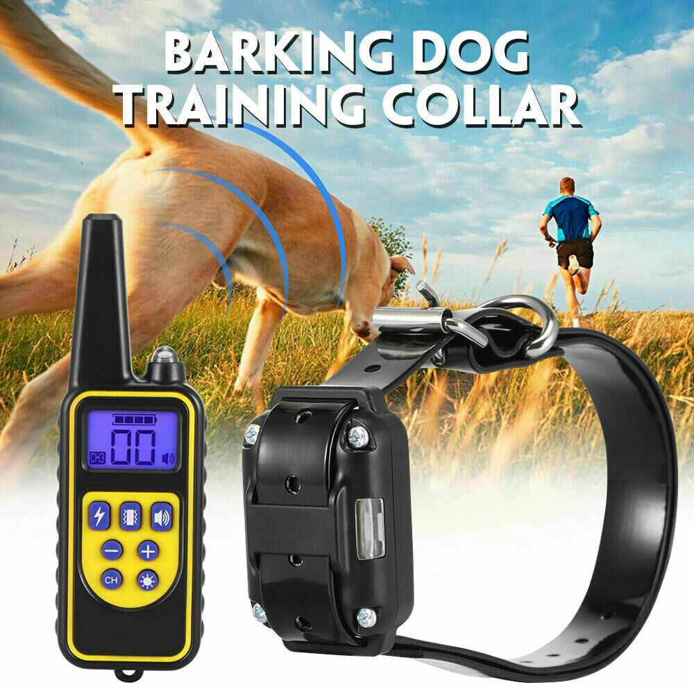 Electric Dog Training Collar – Pet Supplies Australia