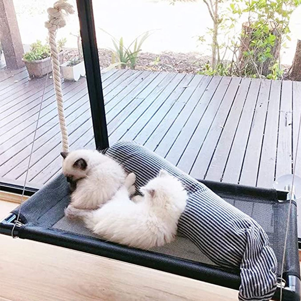 Cat Window Hammock Pet Supplies Australia