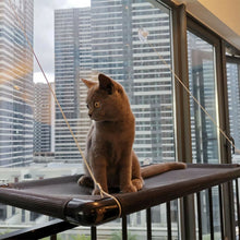 Load image into Gallery viewer, Cat Window Hammock - Pet Supplies Australia
