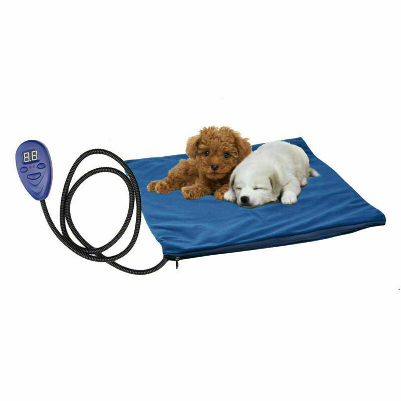 Two puppies resting on blue Heated Pet Bed with digital controller