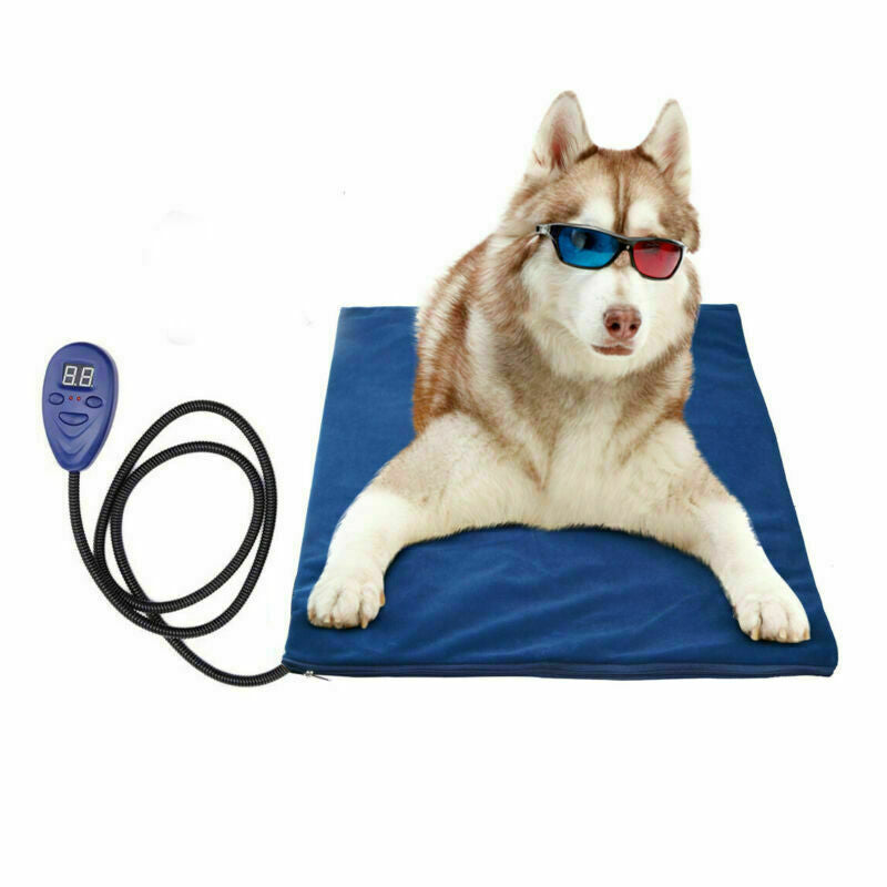 Husky wearing sunglasses lying on blue Heated Pet Bed with controller