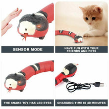 Load image into Gallery viewer, Smart Sensing Snake - Pet Supplies Australia