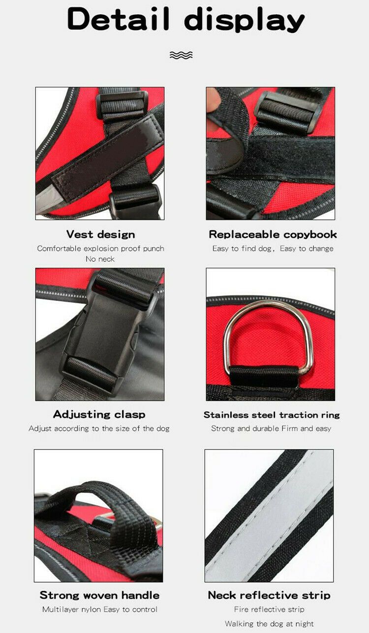 Safety No Pull Dog Harness - Pet Supplies Australia