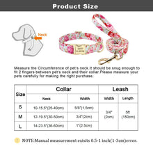 Load image into Gallery viewer, Personalised Dog Collar - FREE ENGRAVING - Pet Supplies Australia