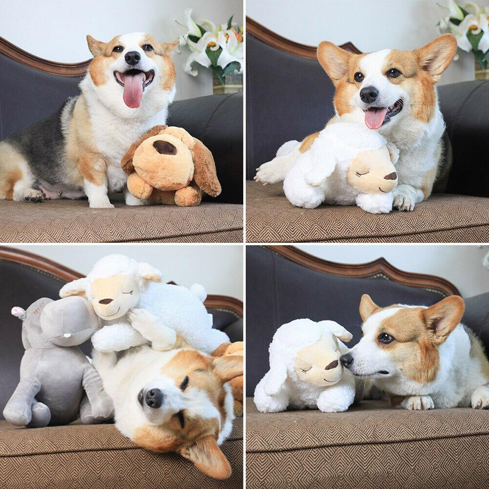 Heartbeat Buddy for Pets - Pet Supplies Australia