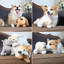 Load image into Gallery viewer, Heartbeat Buddy for Pets - Pet Supplies Australia