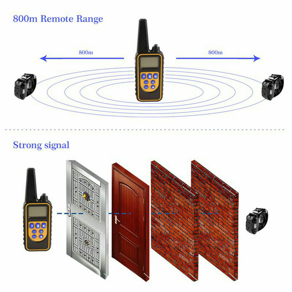 dog electric collars