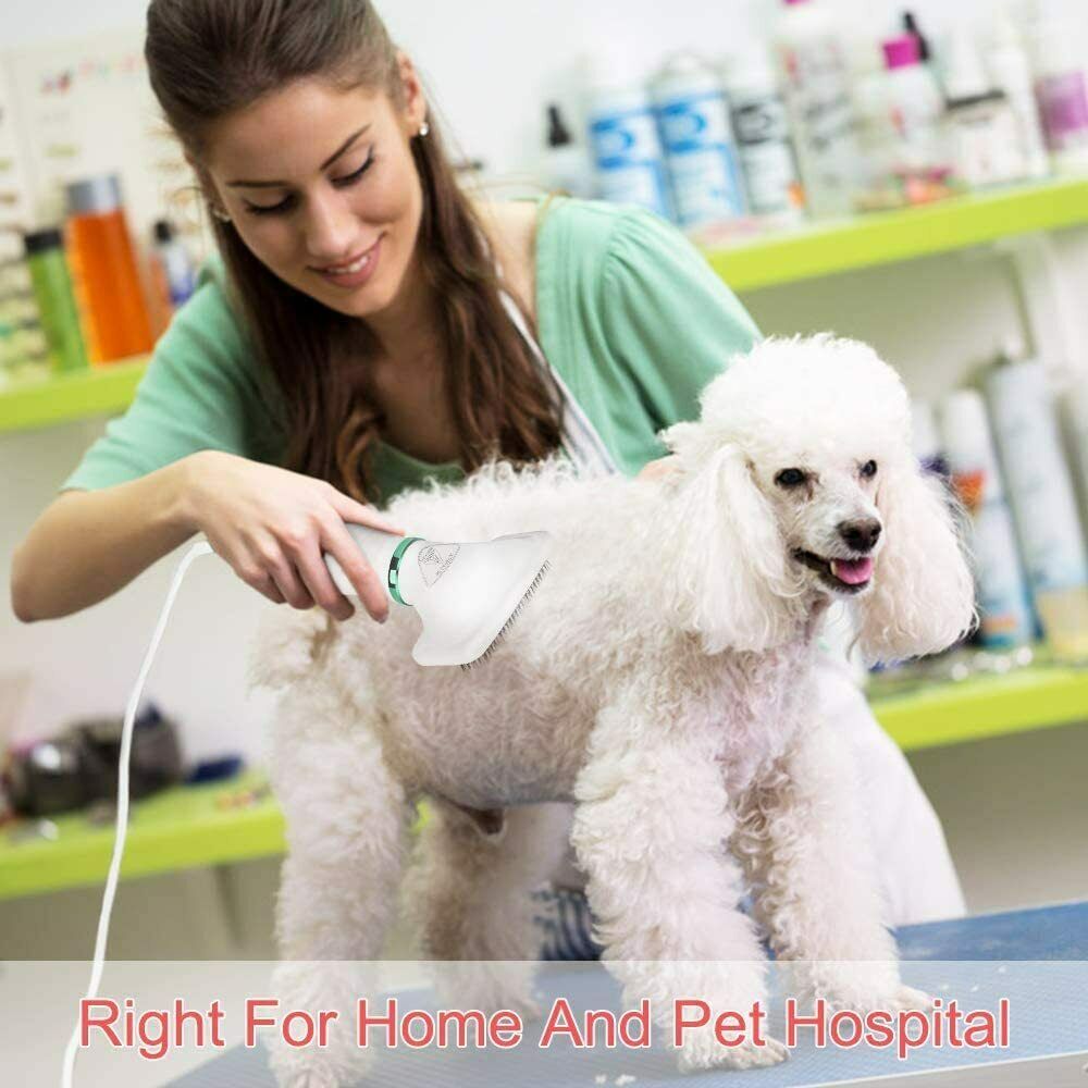 2-in-1 Pet Hair Dryer Brush - Pet Supplies Australia