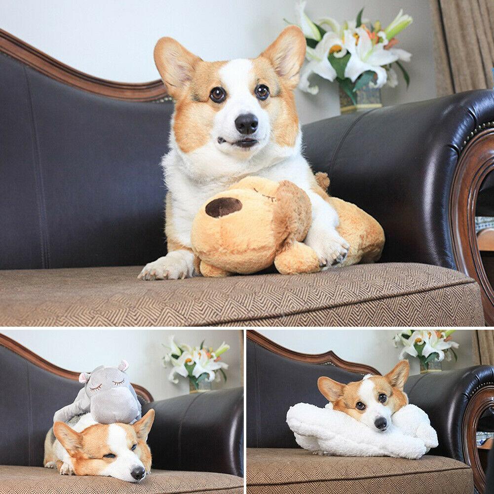 Heartbeat Buddy for Pets - Pet Supplies Australia