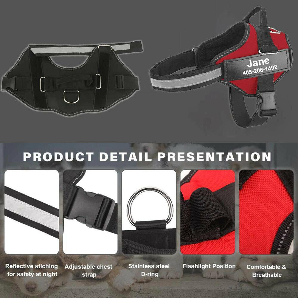 Safety No Pull Dog Harness - Pet Supplies Australia