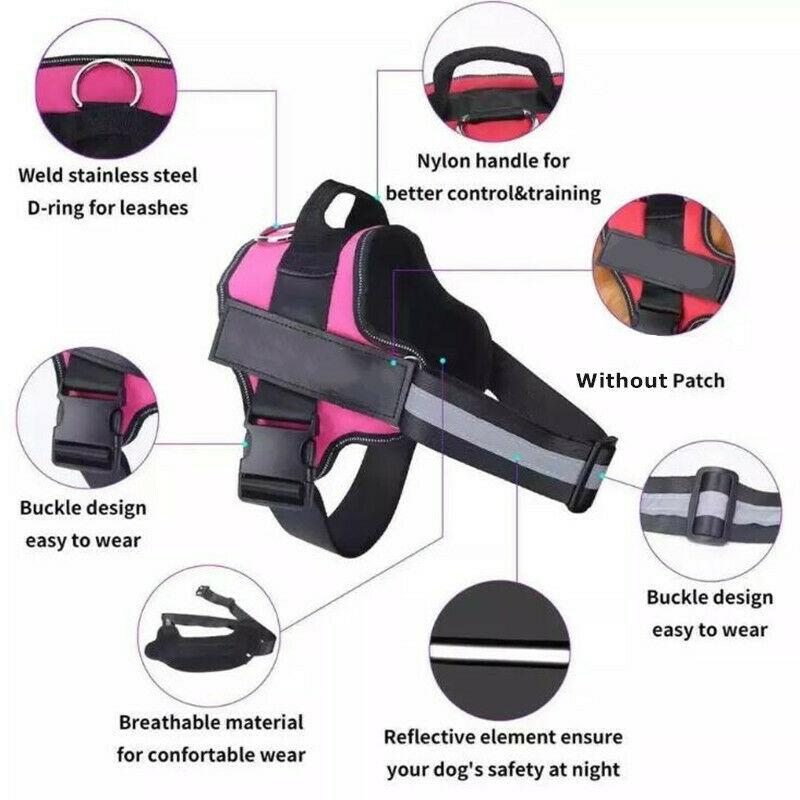 Safety No Pull Dog Harness - Pet Supplies Australia