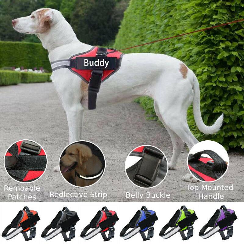 Safety No Pull Dog Harness - Pet Supplies Australia