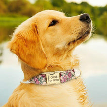 Load image into Gallery viewer, Personalised Dog Collar - FREE ENGRAVING - Pet Supplies Australia