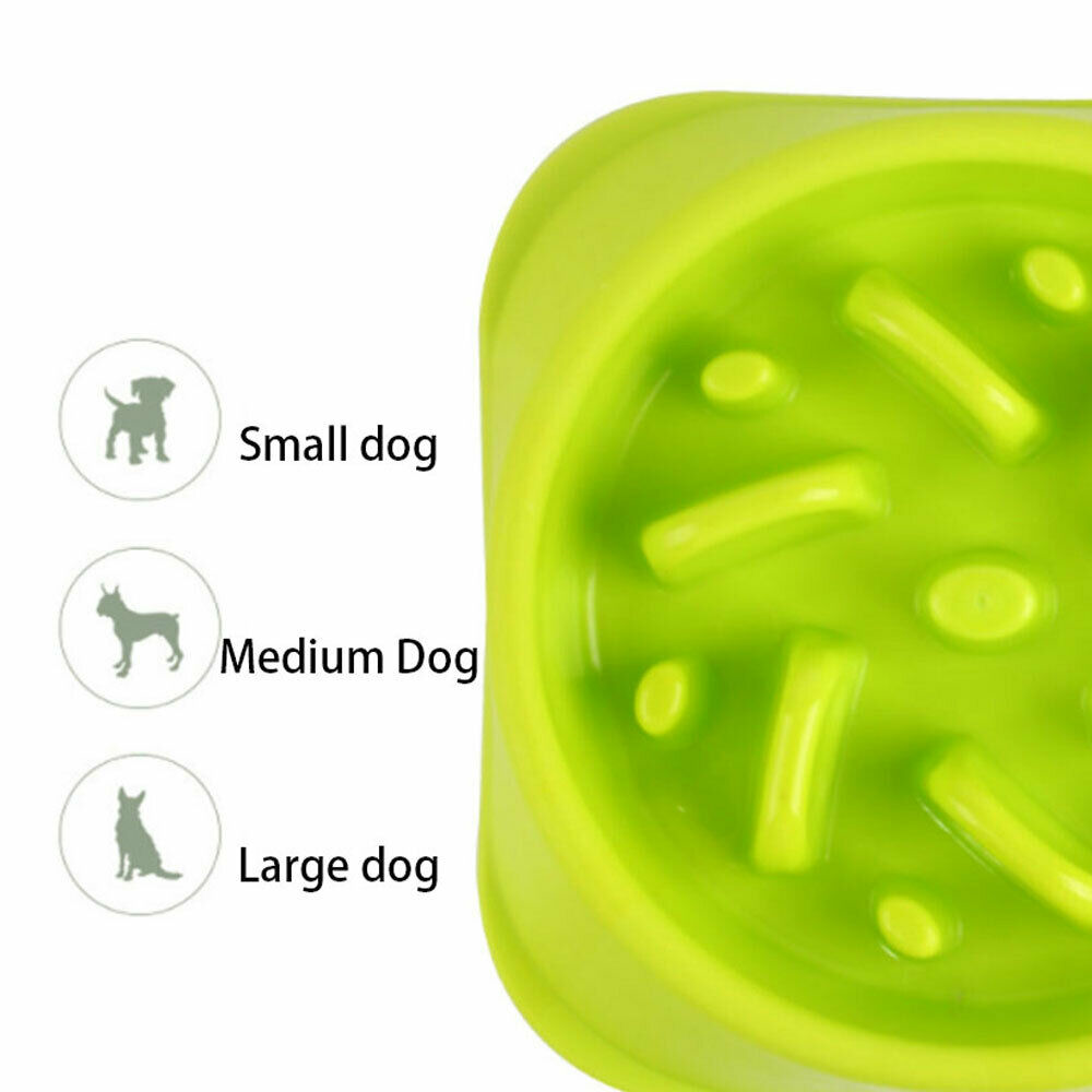 Pets Slow Feeder Dog Bowl - Pet Supplies Australia