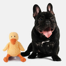 Load image into Gallery viewer, Squeaky Pet Toy - Pet Supplies Australia
