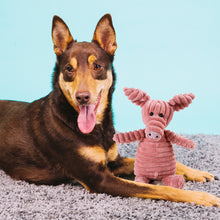 Load image into Gallery viewer, Squeaky Pet Toy - Pet Supplies Australia
