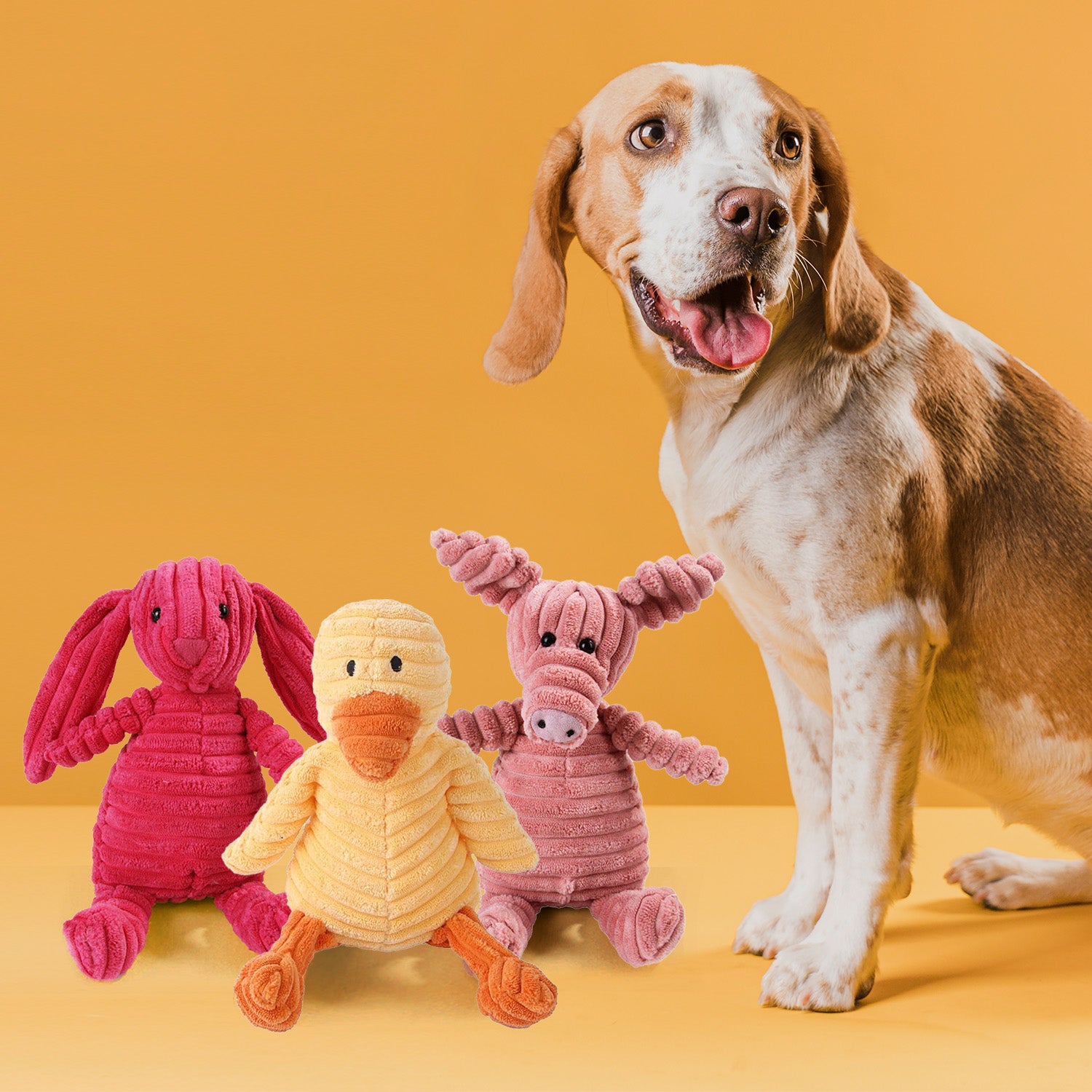 Squeaky Pet Toy - Pet Supplies Australia