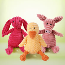 Load image into Gallery viewer, Squeaky Pet Toy - Pet Supplies Australia
