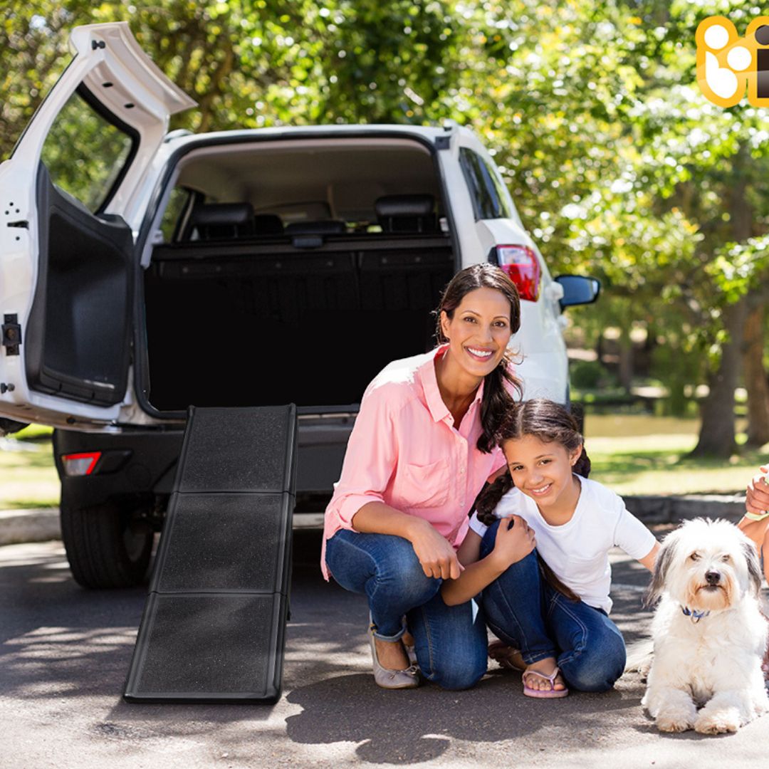Portable Dog  Ramp - Pet Supplies Australia