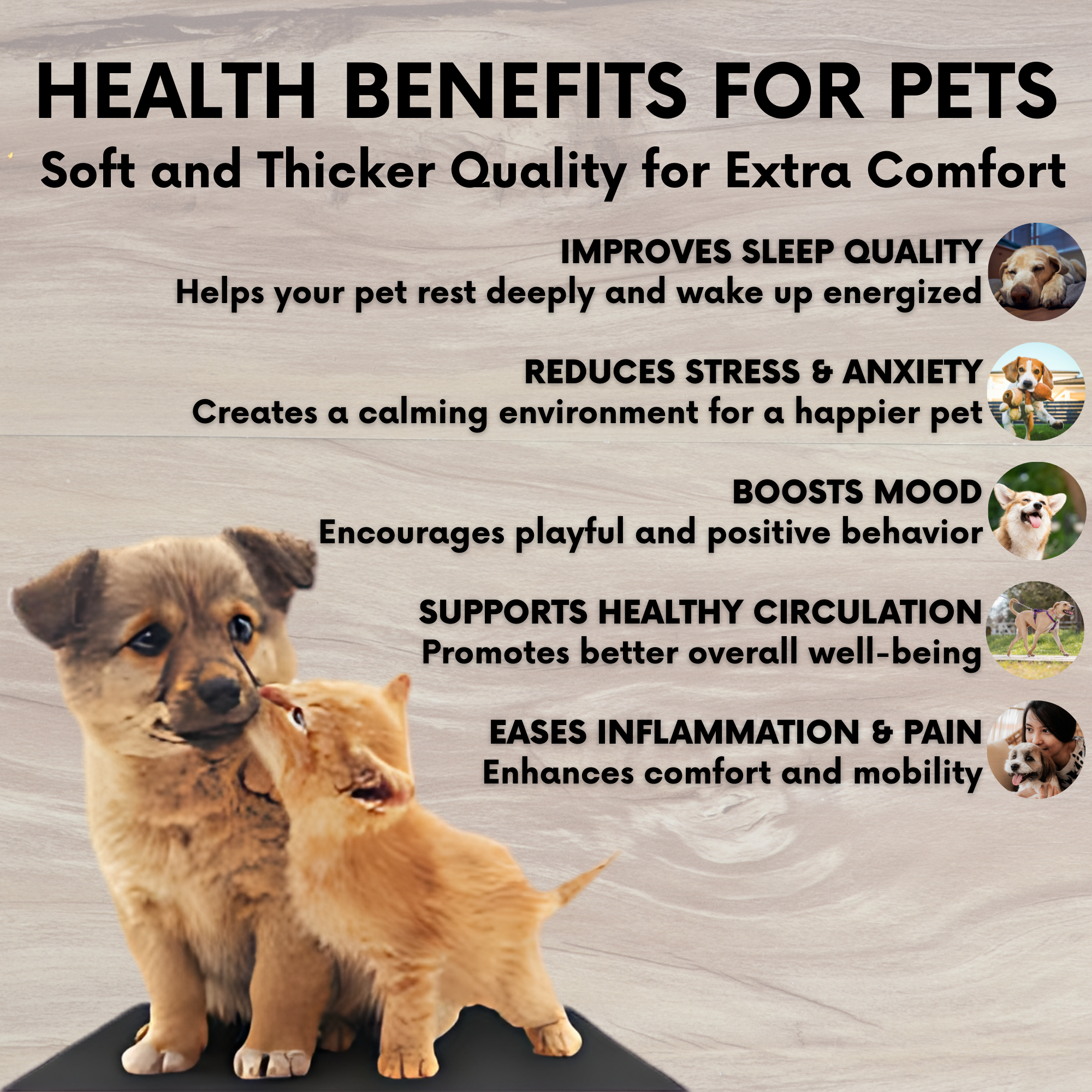 Pet Grounding Mat - Pet Supplies Australia