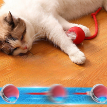 Load image into Gallery viewer, Pet Rolling Ball - Pet Supplies Australia
