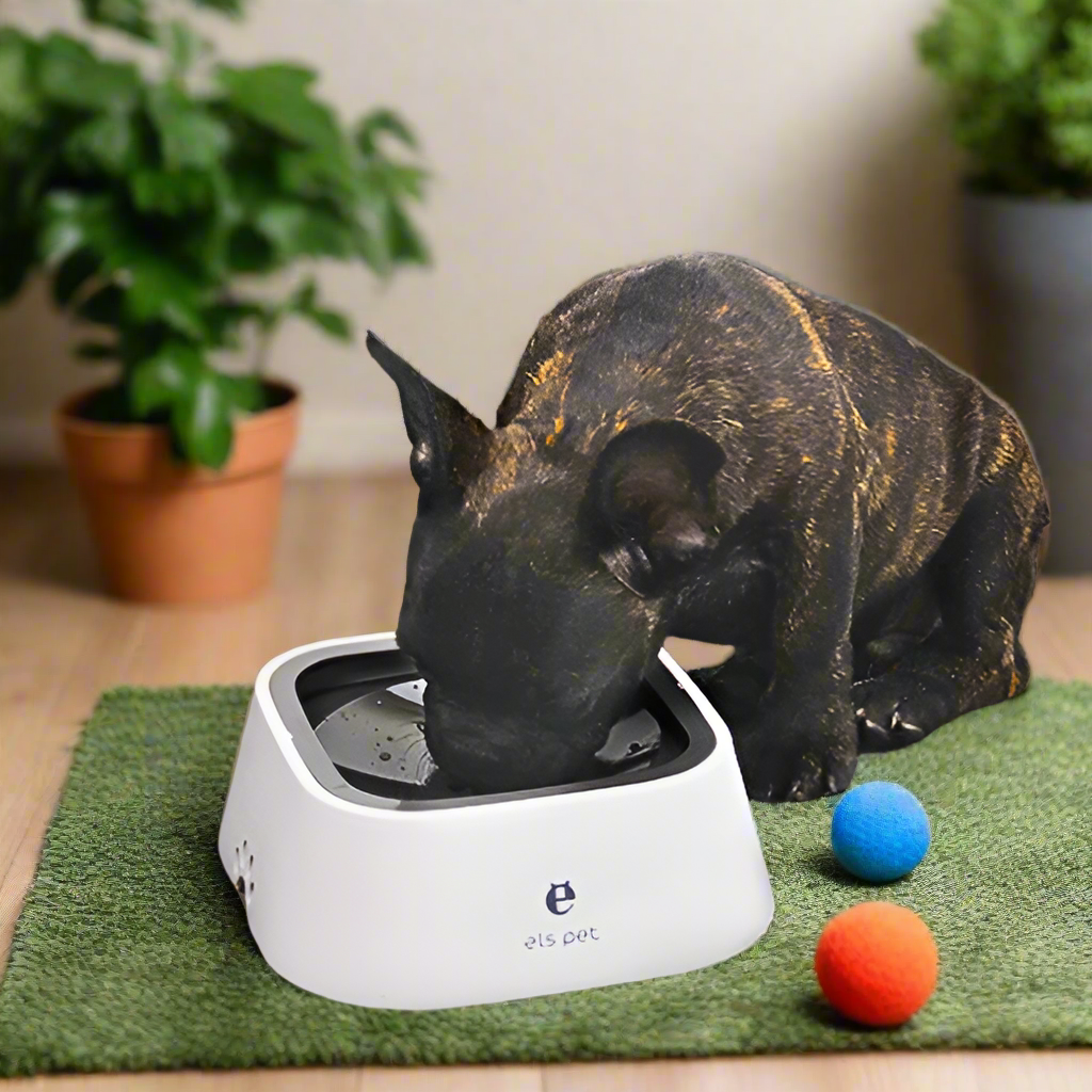 Pet Water Bowl - Pet Supplies Australia